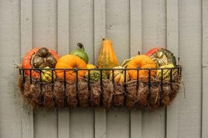 Fall Decorating On A Budget